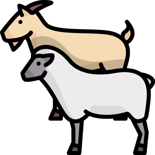 Productive Management Plan (POP) Sheep and Goat Chain