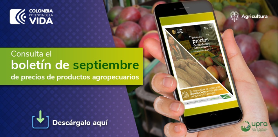En septiembre disminuyeron los precios de frutas frescas, papa criolla, plátano, yuca, carne de res y pollo
