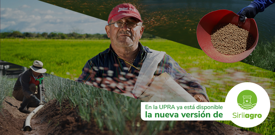 ¿Debe reportar información en Siriiagro? Esta información es para usted