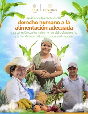 ANÁLISIS DE LA APLICACIÓN DEL DERECHO HUMANO A LA ALIMENTACIÓN ADECUADA Y SU CONEXIÓN CON LOS INSTRUMENTOS DEL ORDENAMIENTO Y LA