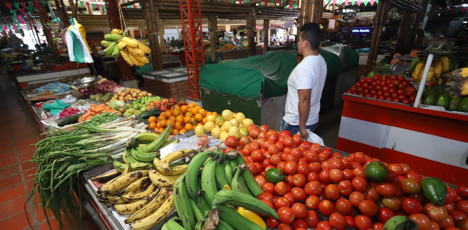 Abastecimiento de alimentos incremento 11% durante diciembre de 2023