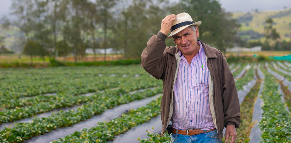 El sector rural y agropecuario alcanza su mayor nivel de empleo para marzo en seis años