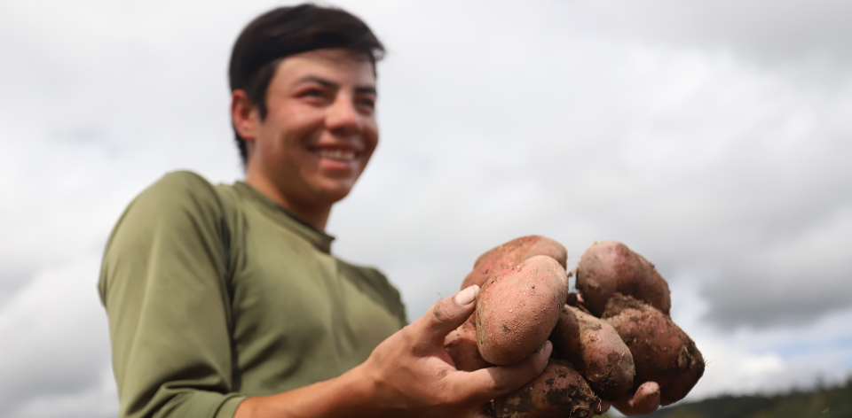 Con un crecimiento del 7,1 % en su valor agregado, el agro se sitúa como la segunda actividad económica con mayor crecimiento en