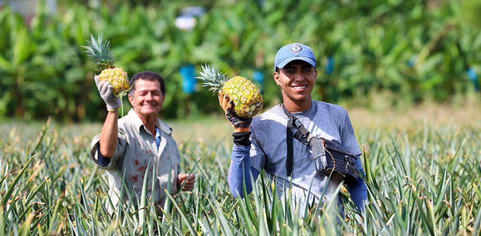 En abril, bajaron los precios de frutas, tubérculos y carnes en las plazas de mercado