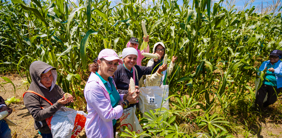 Uso eficiente del suelo y del agua a partir del ordenamiento de la producción agropecuaria