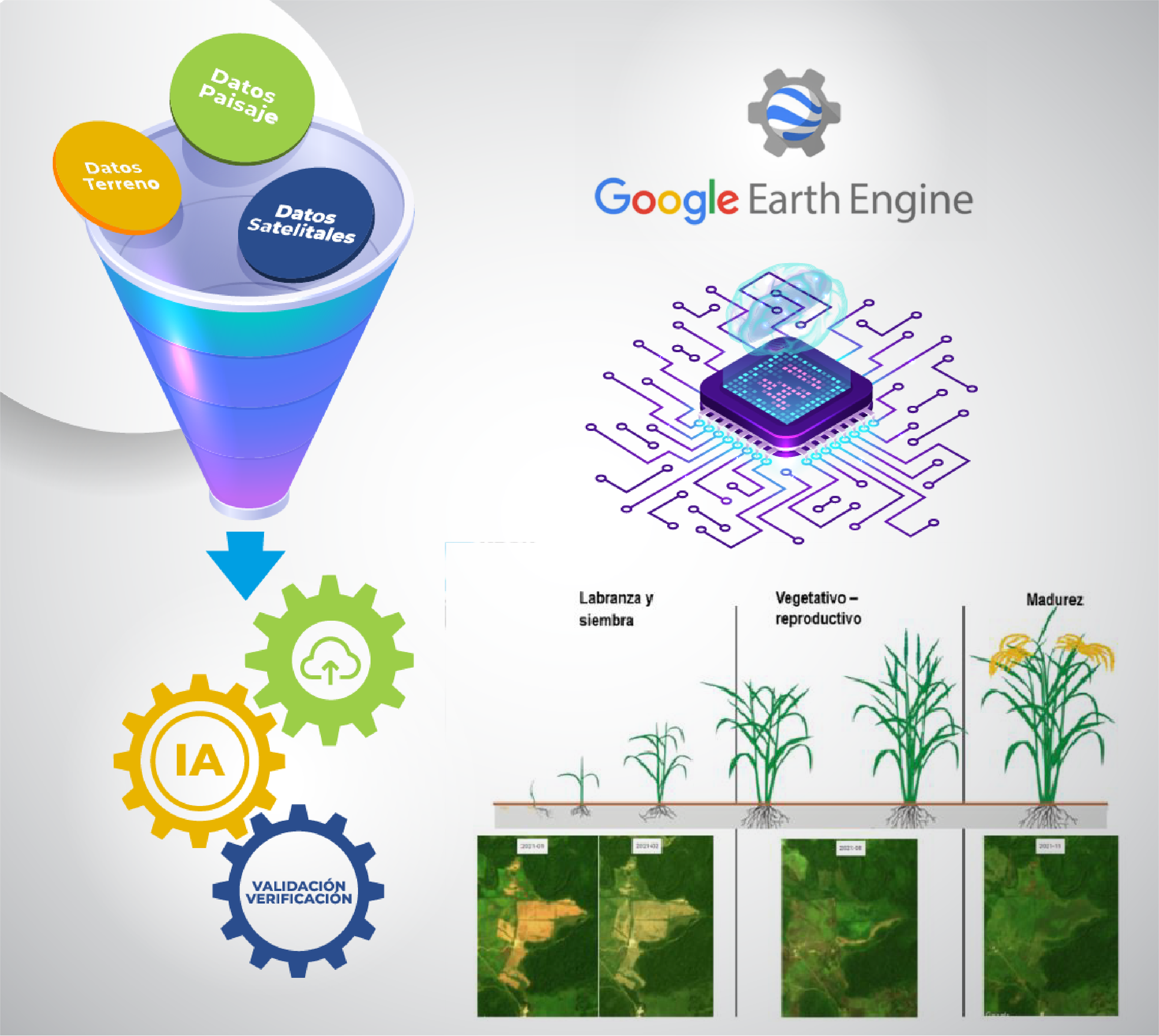 Imagen Google Earth Engine