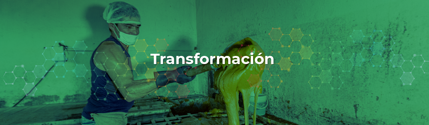 Imagen Transformación