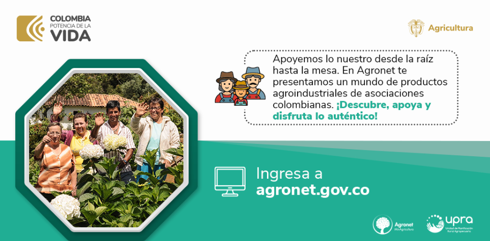 Descubre cómo destacar en el «Directorio de productos transformados» de Agronet y potencializar tu negocio