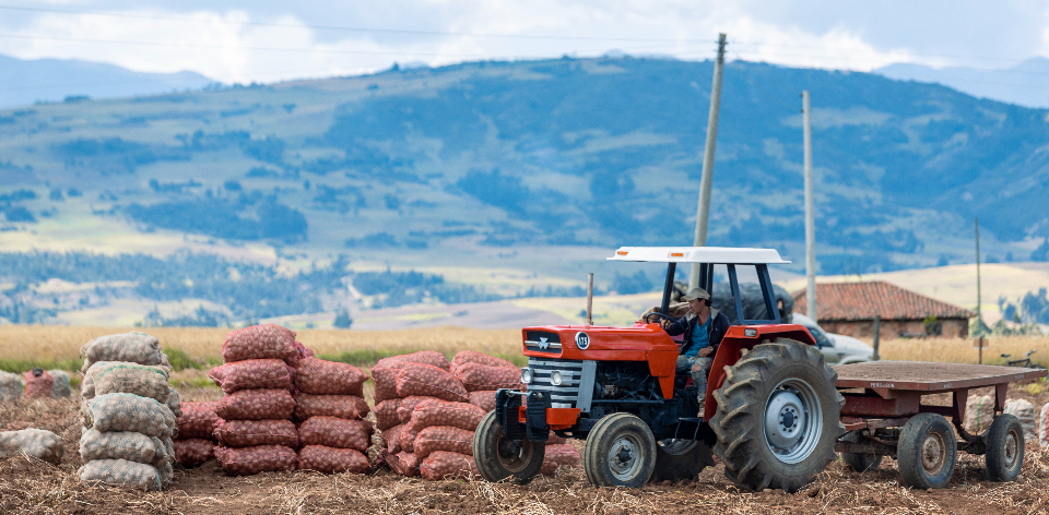 La UPRA formuló el Plan de Ordenamiento Productivo y los Planes Maestros de Reconversión productiva Agropecuaria para la papa co