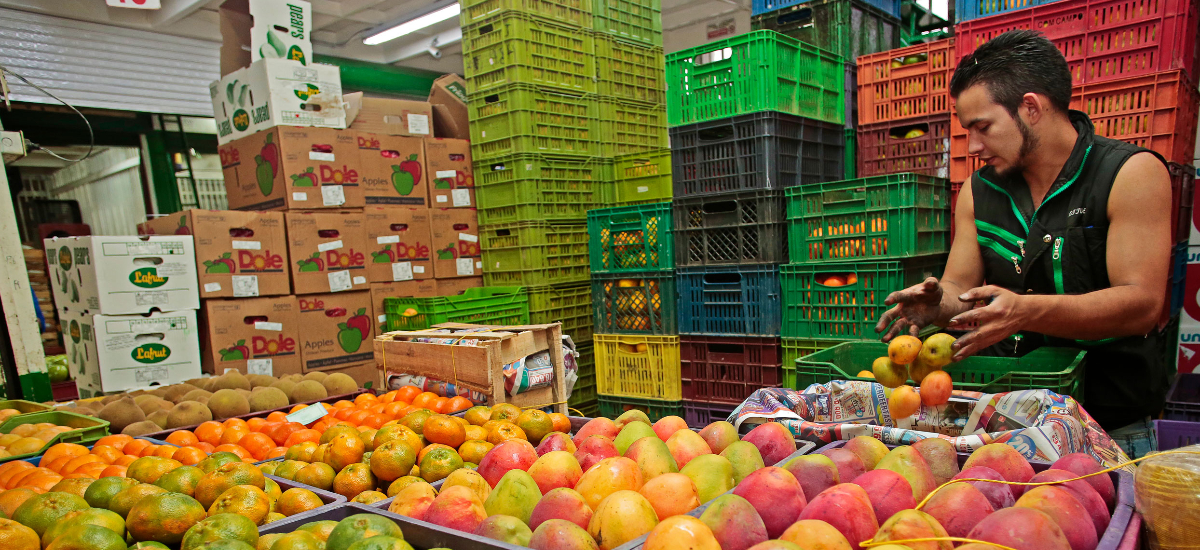 Abastecimiento de alimentos en las principales centrales mayoristas crece un 9,8 % en marzo de 2025