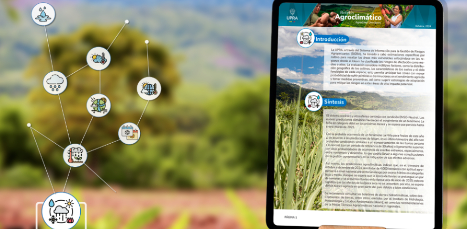 «Colombia enfrenta el resurgimiento del fenómeno de La Niña: desde el sector agropecuario debemos prepararnos»