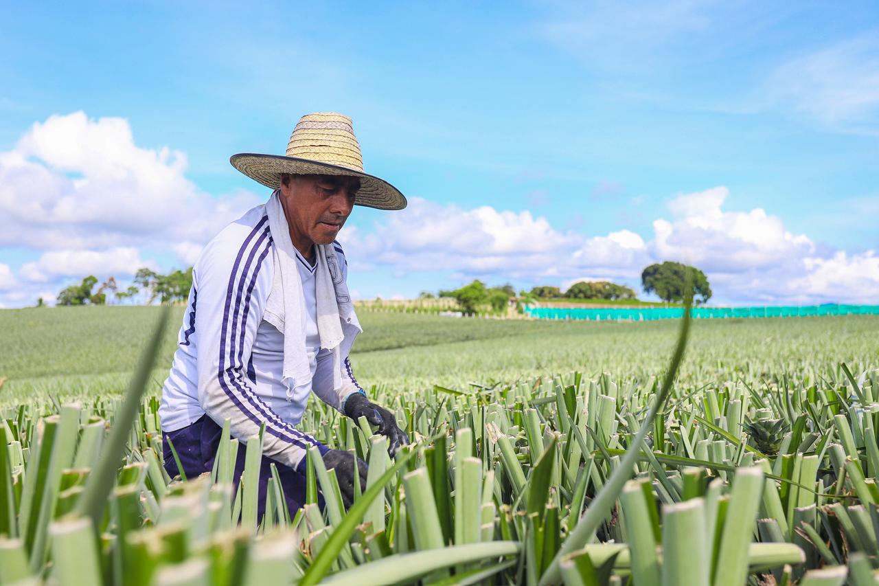 Cartagena vivió el lanzamiento de la II Conferencia Internacional de Reforma Agraria y Desarrollo Rural, de la que será sede en 