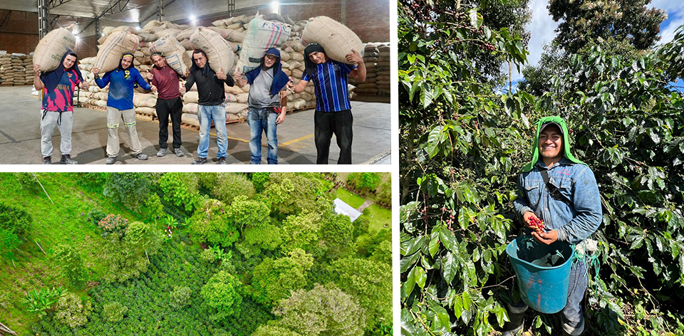 Colombia celebra el Día Nacional del Café reconociendo el valor de su gente, su territorio y su tradición