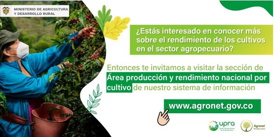 Área de Producción y Rendimiento Nal