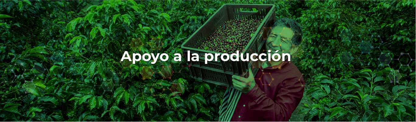 Encabezado Apoyo a la producción