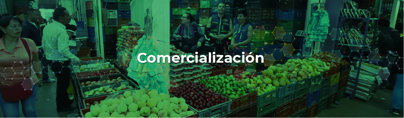 Encabezado Comercialización