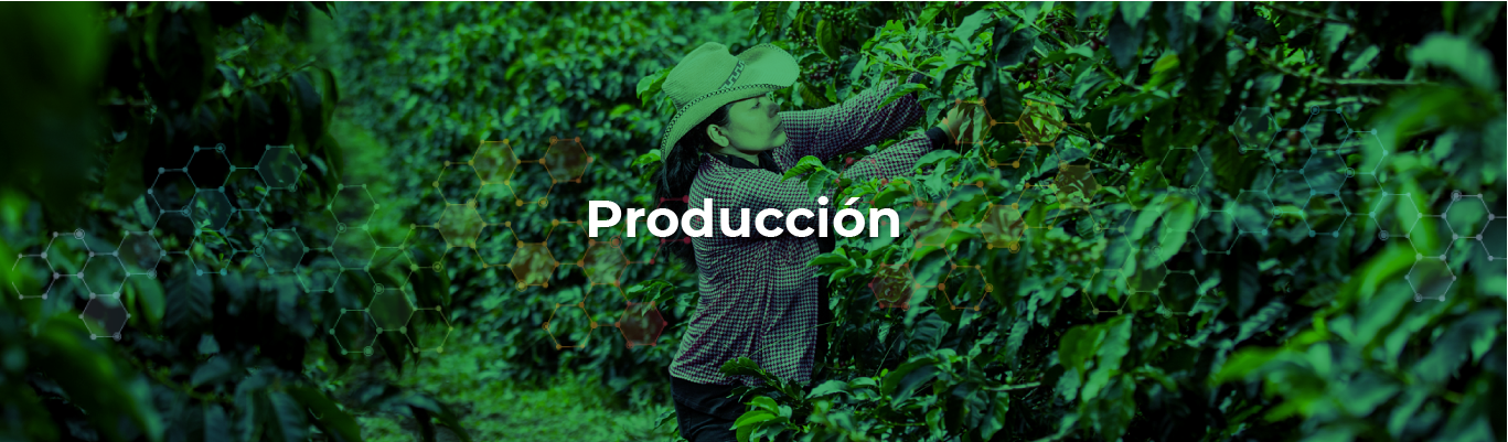 Encabezado Producción