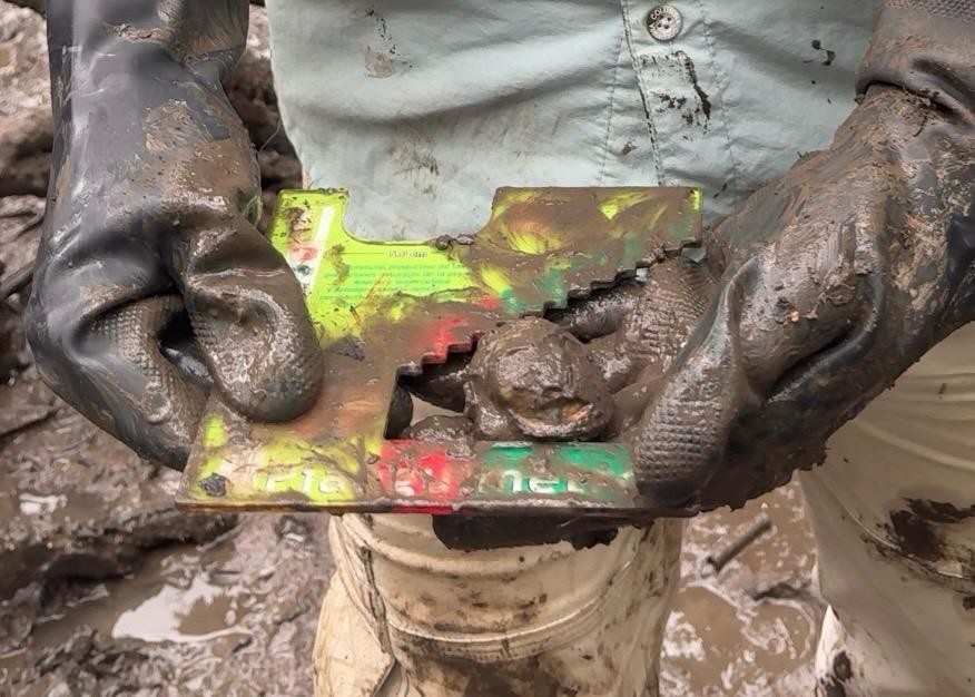 La franja roja del piangüímetro indica que la piangua todavía no puede sacarse del manglar