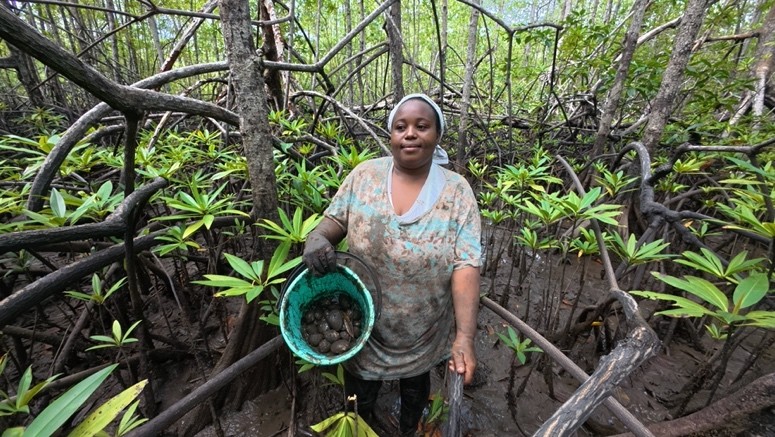 Luz Milena Mosquera, piangüera del Pacífico colombiano.