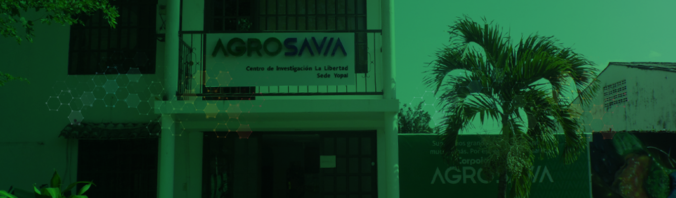 Encabezado servicios de apoyo al agro