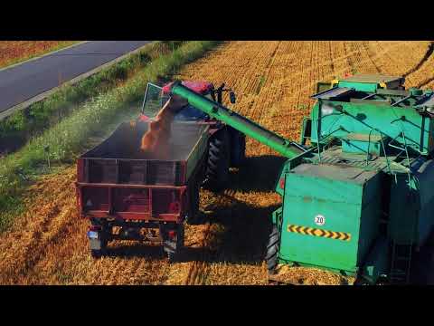 Conoce sobre el Índice de Precios de Insumos Agrícolas y Alimentos Balanceados para Animales