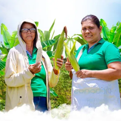 Priorización de Alternativas Productivas Agropecuarias