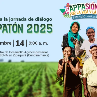 Jornada de rendición de cuentas APPATÓN 2025