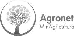 Logo Agronet Gris