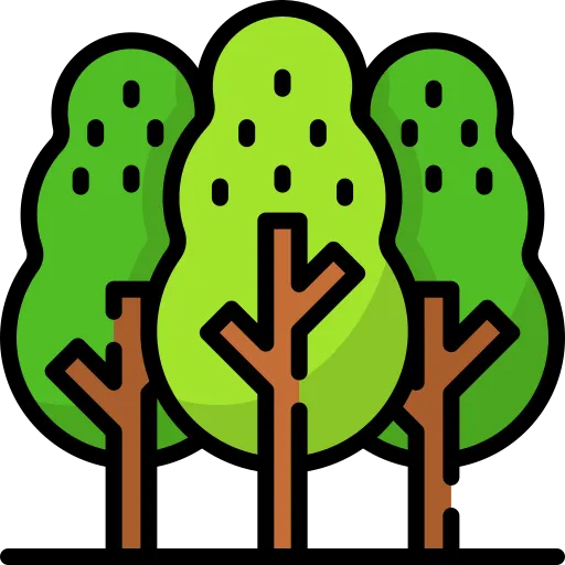 Cadena Forestal