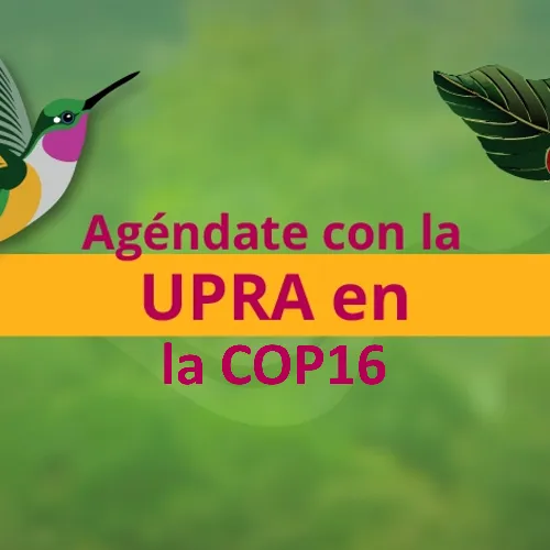 Upra cop 16