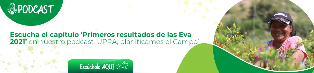 Banner Podcast Eva