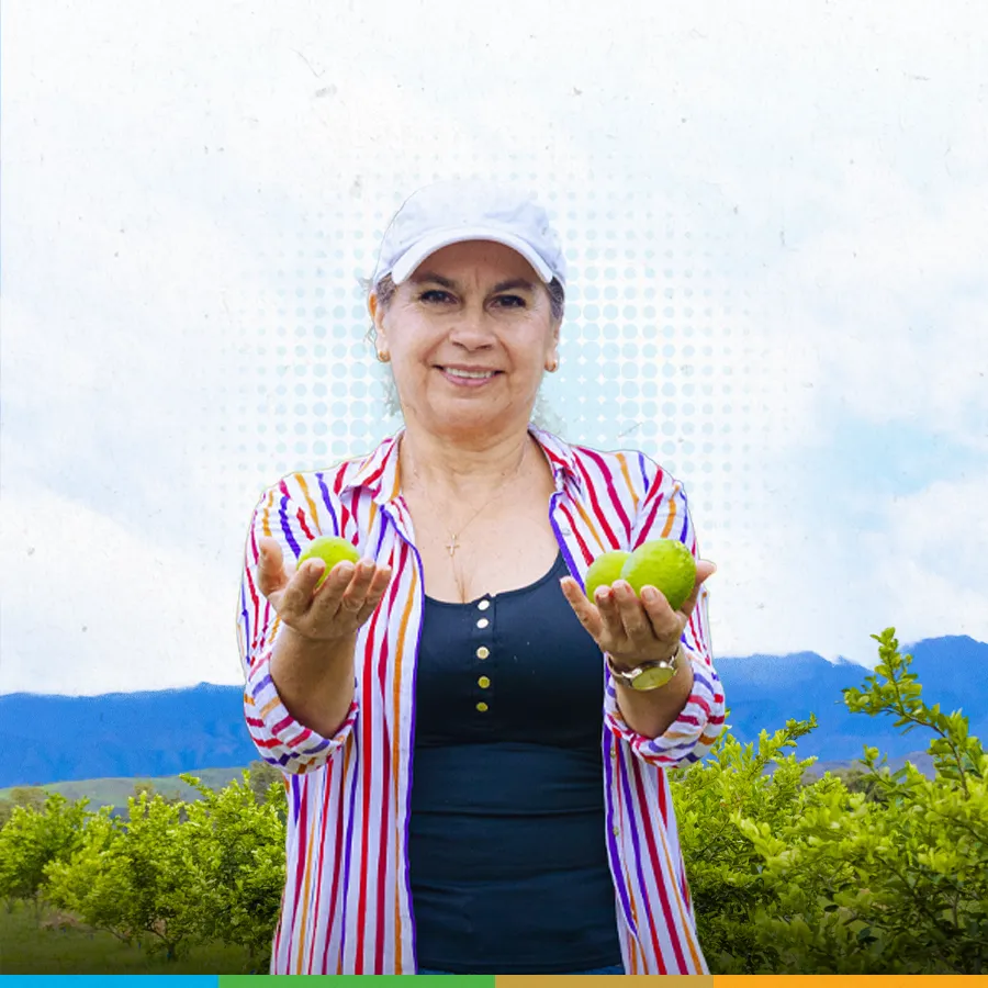 Taller de levantamiento de costos de producción y parámetros productivos de Limón Tahití.
