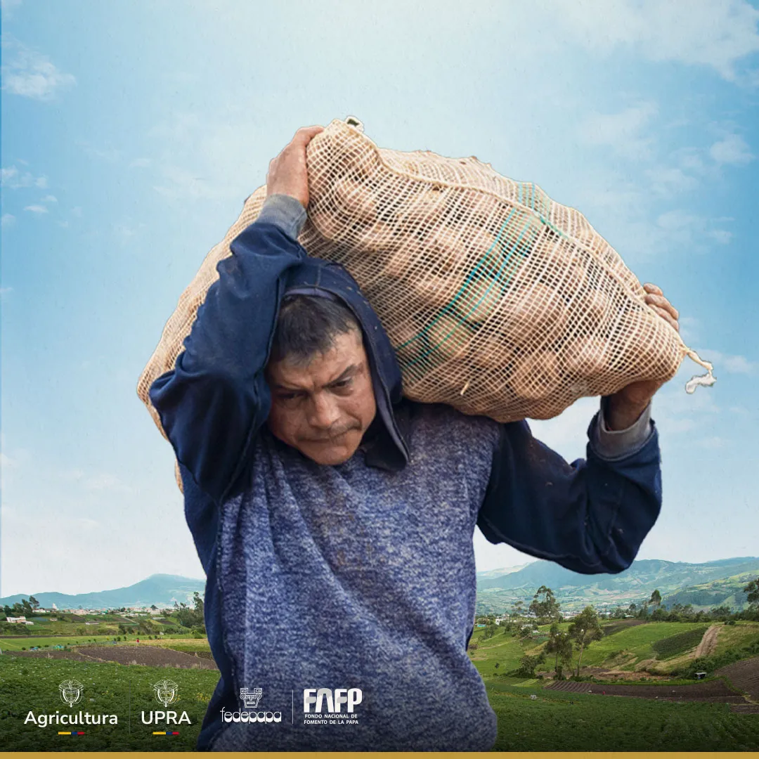 Plan Maestro de Reconversión Productiva de la papa