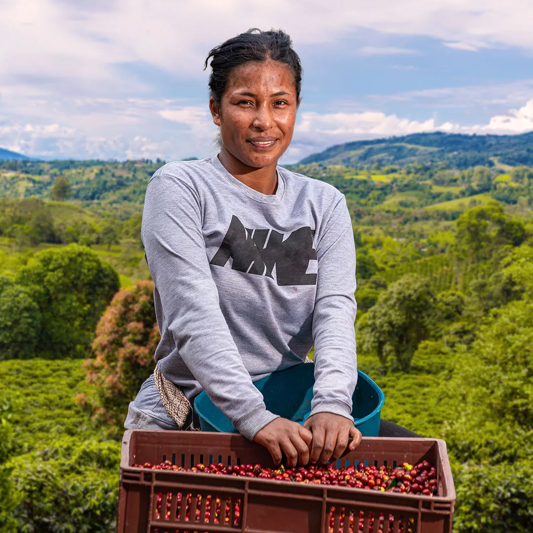 Levantamiento de costos de producción para pequeños caficultores