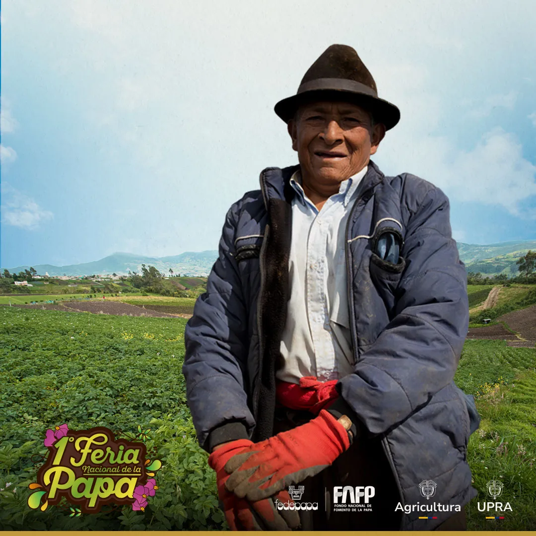 Plan Maestro de Reconversión Productiva de la papa colombiana