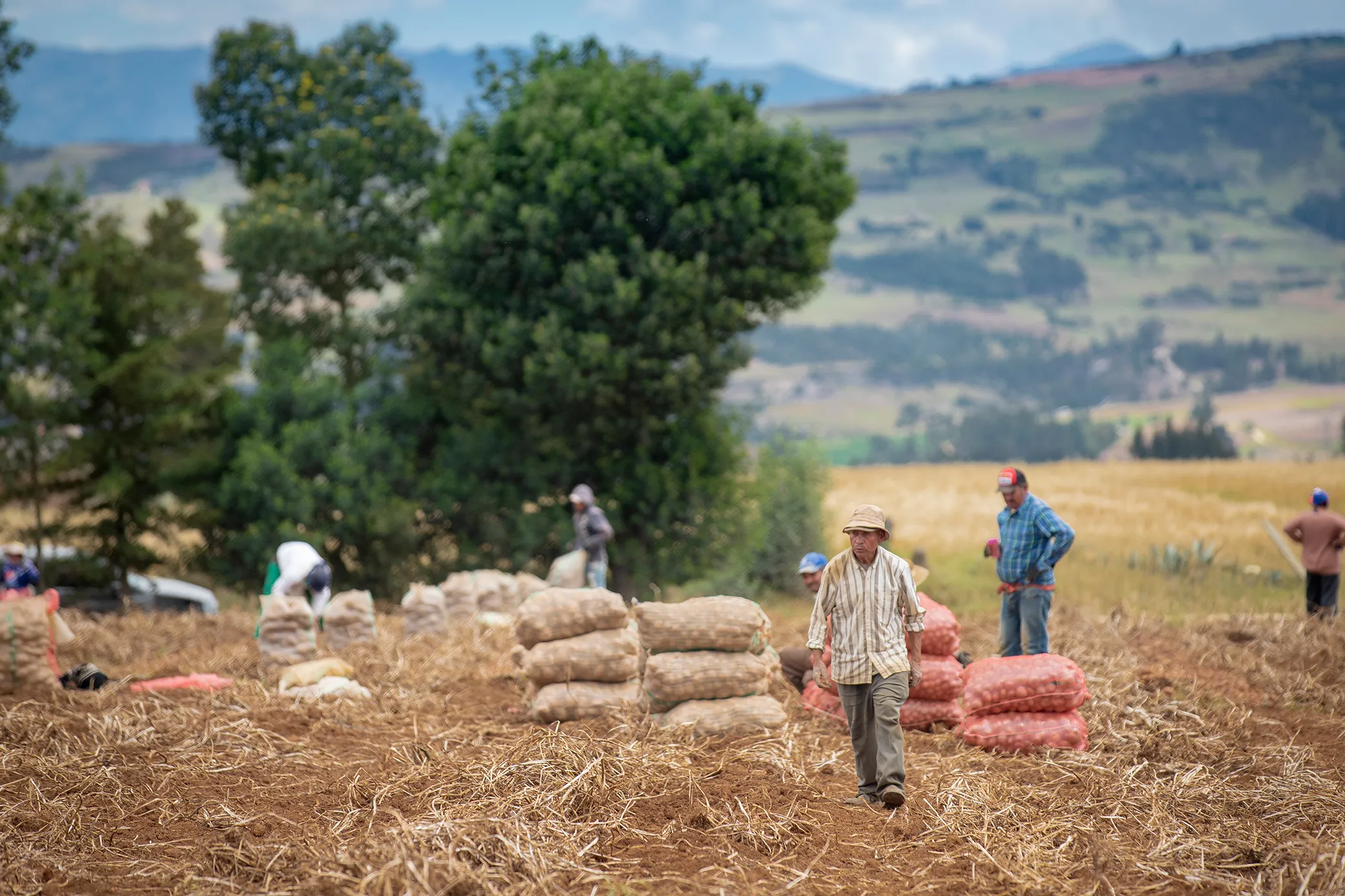 Quinta jornada de socialización de temas de interés para el sector agropecuario