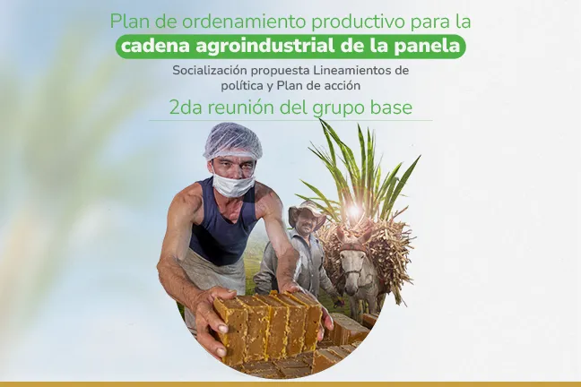 Reunión del Grupo Base: Plan de Ordenamiento Productivo de la Cadena agroindustrial de la panela