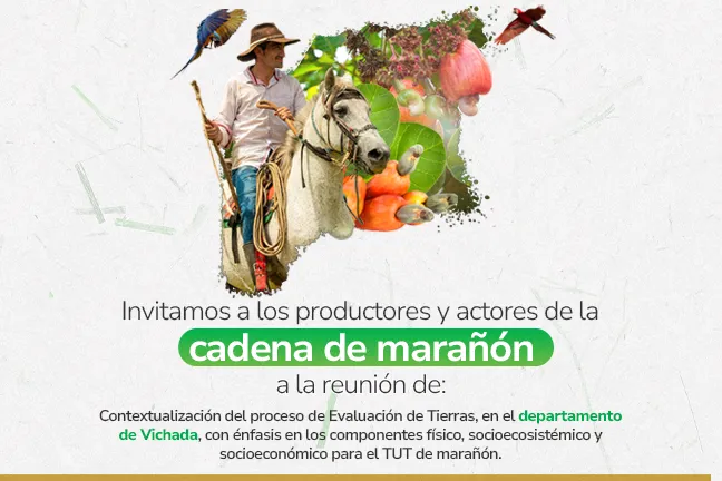 Evaluación de tierras para la cadena de marañón, en el departamento de Vichada
