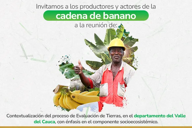 Evaluación de tierras para la cadena de banano, en el departamento del Valle del Cauca