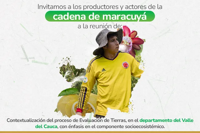 Evaluación de tierras para la cadena de maracuyá, en el departamento de Valle del Cauca