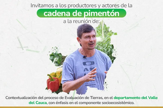 Evaluación de tierras para la cadena de pimentón, en el departamento del Valle del Cauca