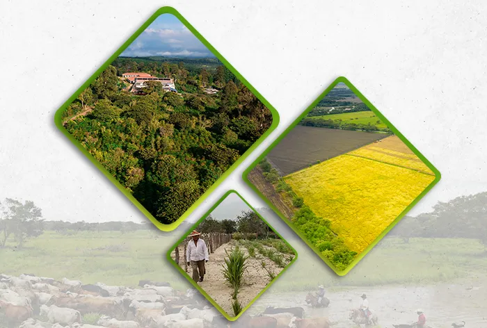 II Seminario Panamericano de Paisajes Productivos Agropecuarios Retos y Futuro