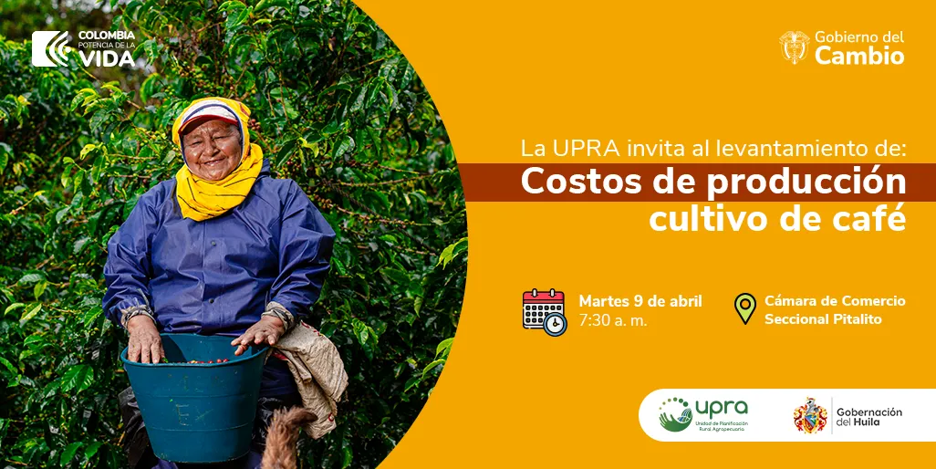 Levantamiento de costos de producción del cultivo del café 