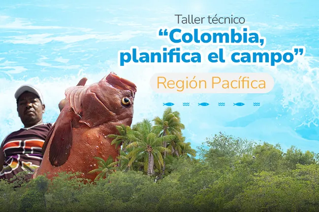 Taller técnico: Colombia planifica el campo. Región Pacífica.