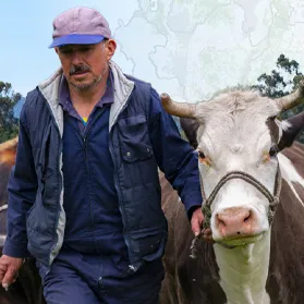 Actualización de la Zonificación de Aptitud para la producción de leche bovina en pastoreo. Cundinamarca. Actualización de la Zonificación de Aptitud para la producción de leche bovina en pastoreo. Cundinamarca.