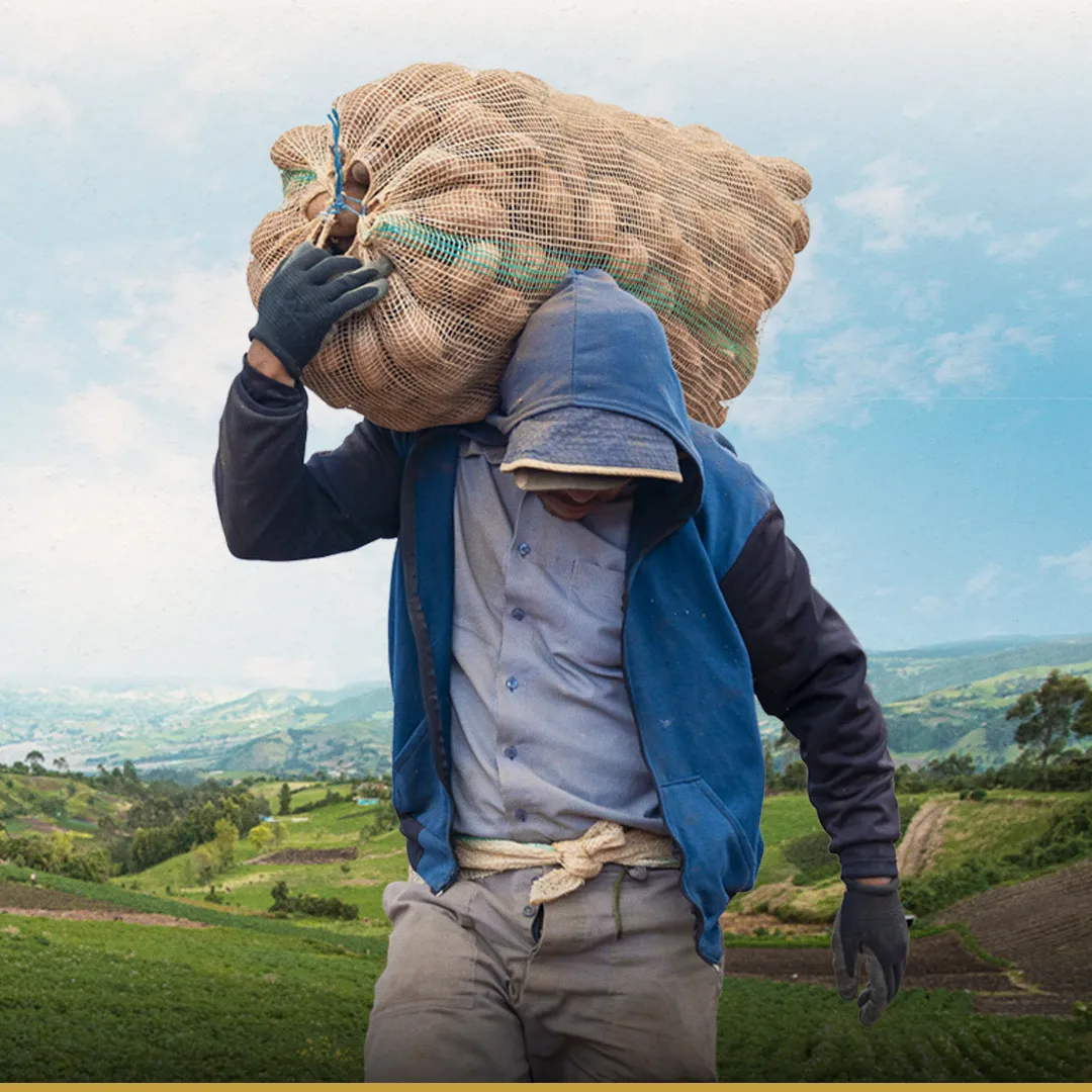 Plan Maestro de Reconversión Productiva de la papa colombiana