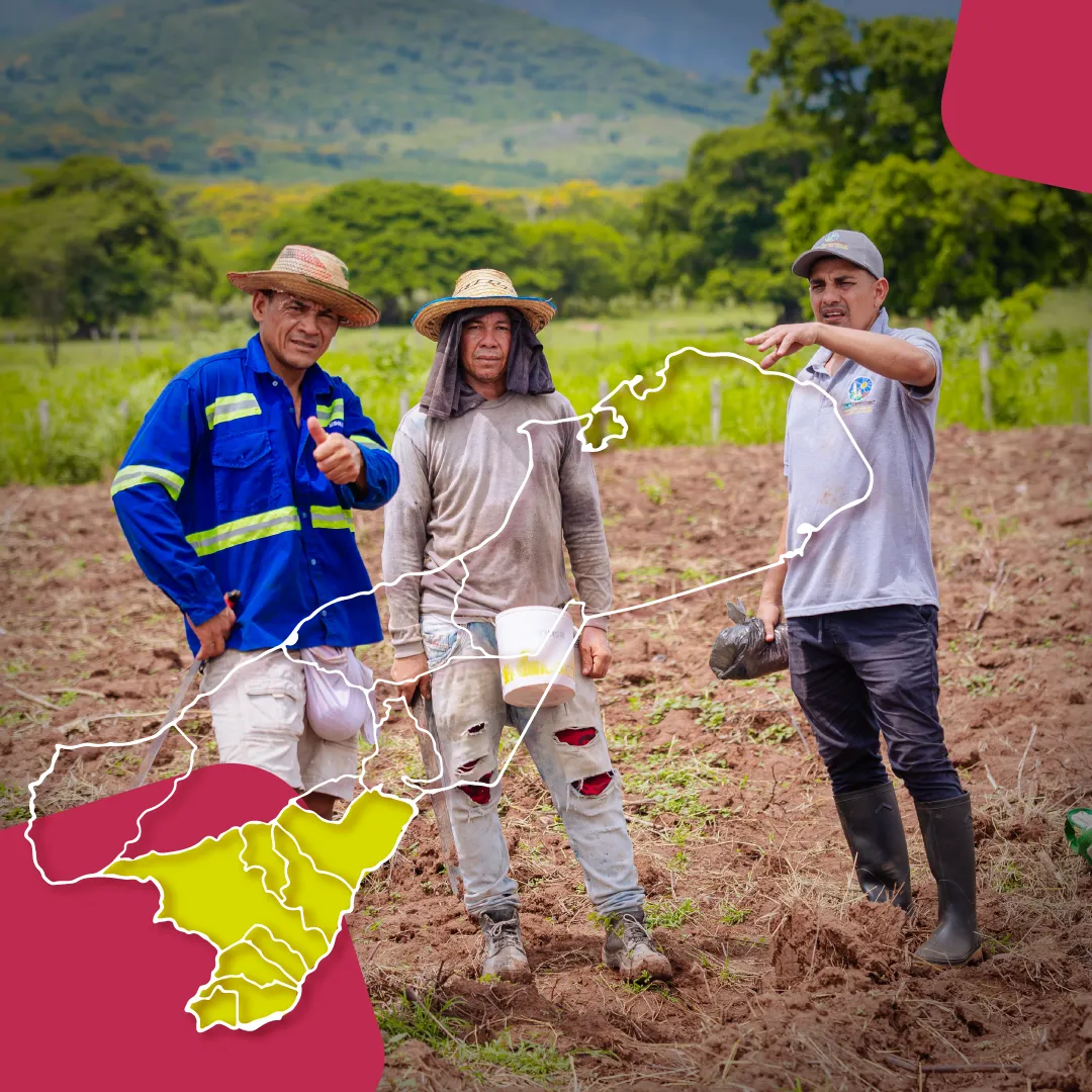 Declaratoria de las Áreas de Protección para la Producción de Alimentos (APPA)
