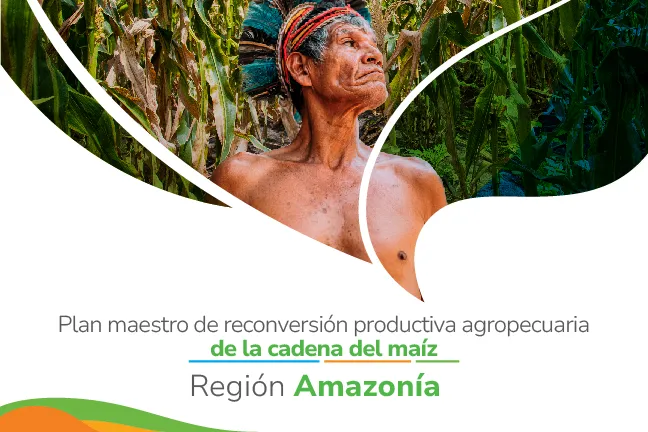 Taller virtual: Plan Maestro de Reconversión Productiva Agropecuaria de la cadena del maíz. Región Amazonía