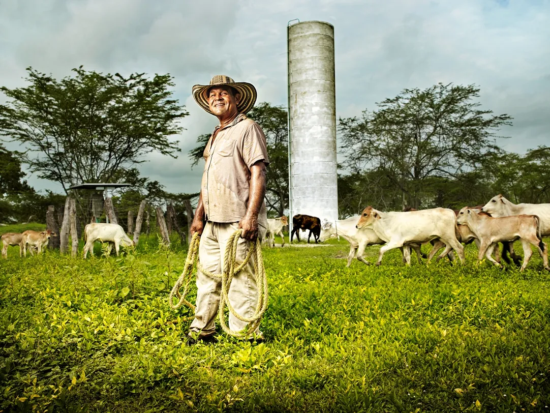 ¿Hacia Dónde va el sector agro en Colombia?