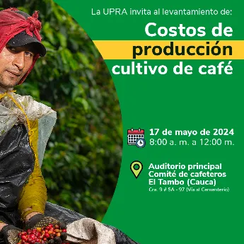 Levantamiento de costos de producción del cultivo del café
